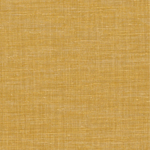 Savanne | kleurmijninterieur
