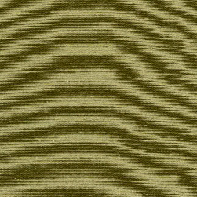 90531 Arte Boutique Agave Olive