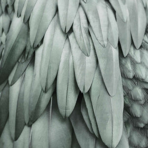 Livingwalls ARTist DD119845 official high-resolution product image