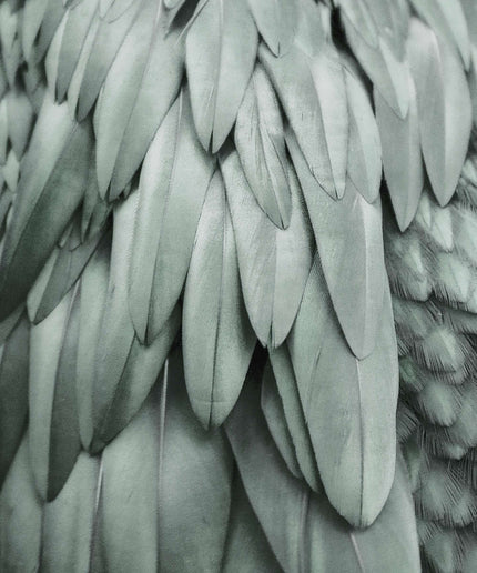 Livingwalls ARTist DD119845 official high-resolution product image