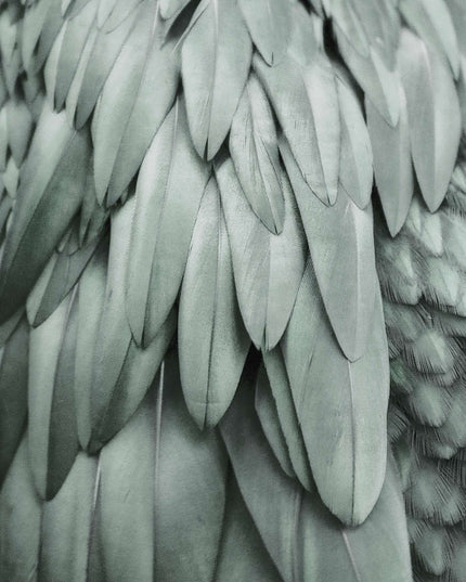 Livingwalls ARTist DD119845 official high-resolution product image
