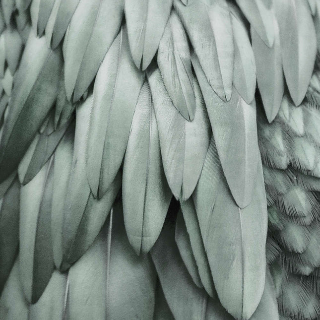 Livingwalls ARTist DD119845 official high-resolution product image