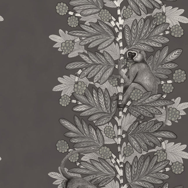 Cole & Son 109-11055 official flatshot