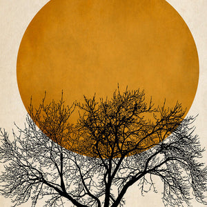 Livingwalls ARTist DD119905 official high-resolution product image