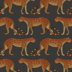 Cole & Son 109-2008 official flatshot
