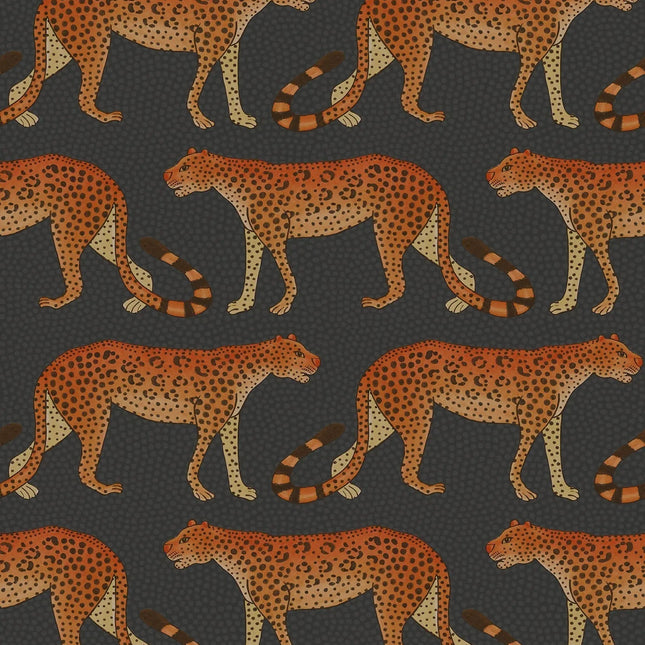 Cole & Son 109-2008 official flatshot