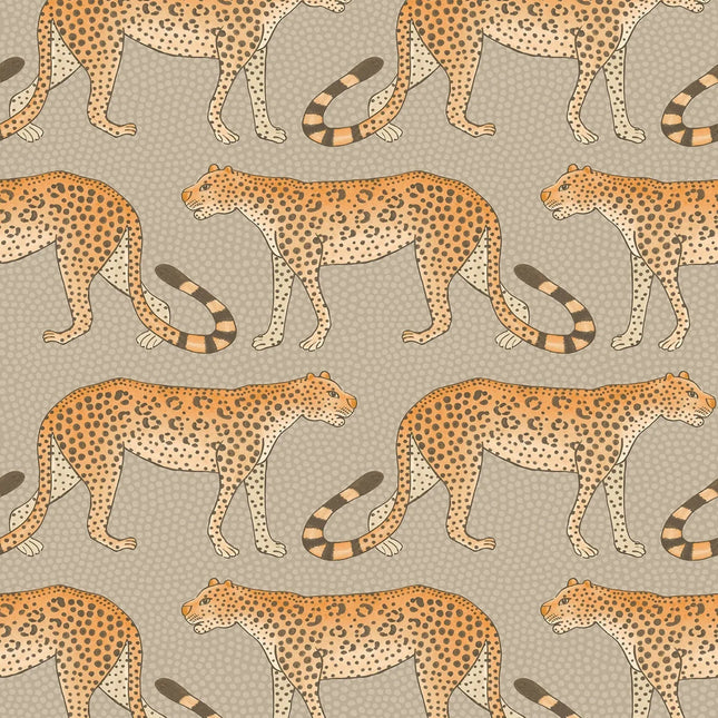 Cole & Son 109-2010 official flatshot