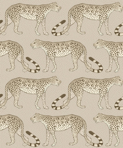 Cole & Son 109-2012 official flatshot