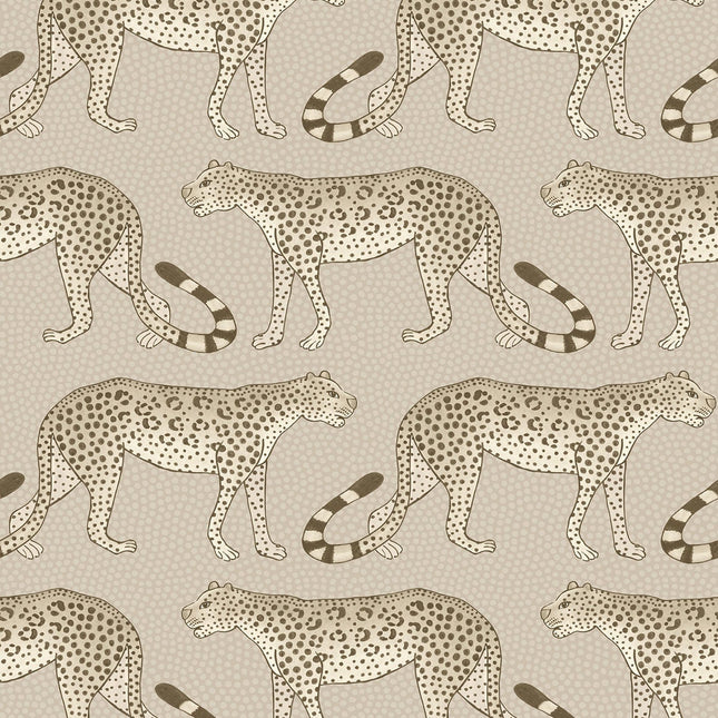Cole & Son 109-2012 official flatshot