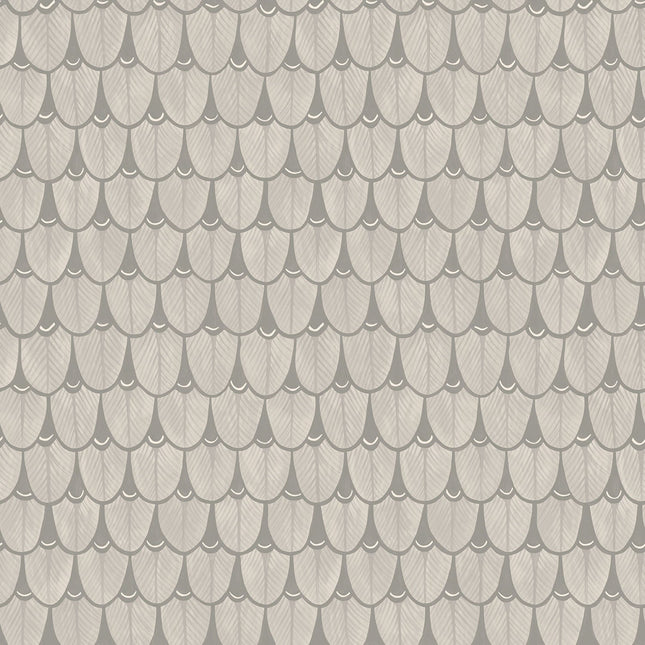 Cole & Son 109-10047 official flatshot
