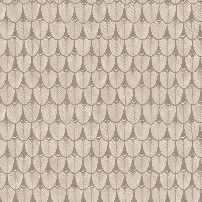 Cole & Son 109-10049 official flatshot