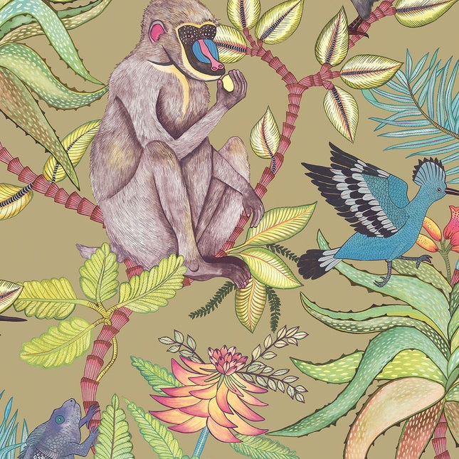Cole & Son 109-1005 official flatshot