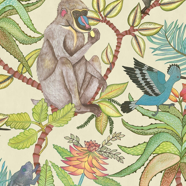 Cole & Son 109-1007 official flatshot