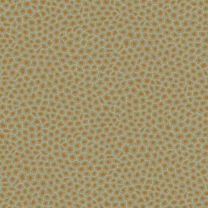 Cole & Son 109-6029 official flatshot