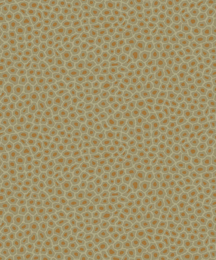 Cole & Son 109-6029 official flatshot