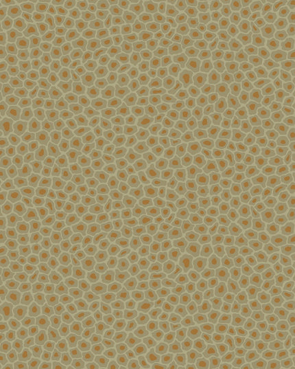 Cole & Son 109-6029 official flatshot
