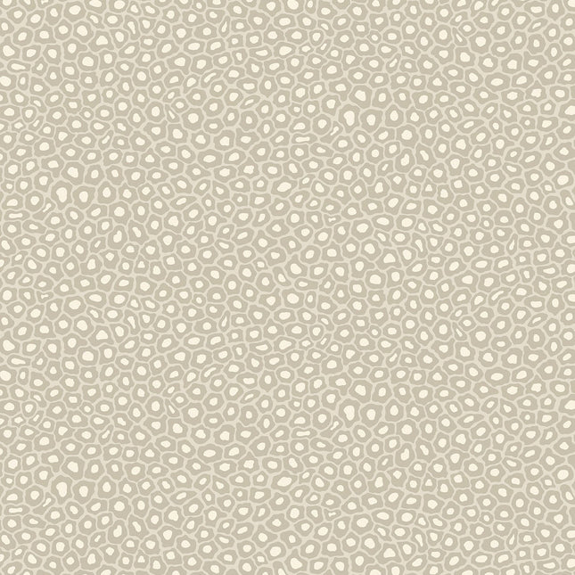 Cole & Son 109-6030 official flatshot