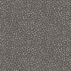 Cole & Son 109-6031 official flatshot