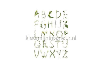 Rebel Walls Greenhouse r13191 | Bestellen bij https://www.kleurmijninterieur.nl/