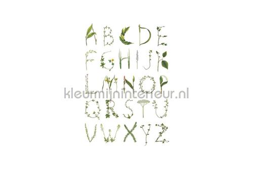 Rebel Walls Greenhouse r13191 | Bestellen bij https://www.kleurmijninterieur.nl/