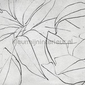 Coordonne Random Papers 2 6800406 | Bestellen bij https://www.kleurmijninterieur.nl/