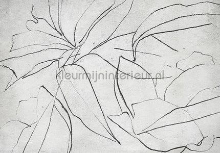 Coordonne Random Papers 2 6800406 | Bestellen bij https://www.kleurmijninterieur.nl/