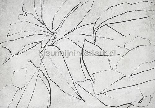Coordonne Random Papers 2 6800406 | Bestellen bij https://www.kleurmijninterieur.nl/