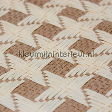 Kleurmijninterieur Natuurlijke Weefsels GPW-PW-061 | Bestellen bij https://www.kleurmijninterieur.nl/
