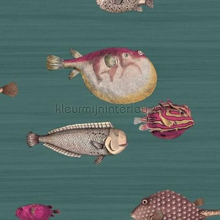 Cole and Son Fornasetti 114-12024 | Bestellen bij https://www.kleurmijninterieur.nl/