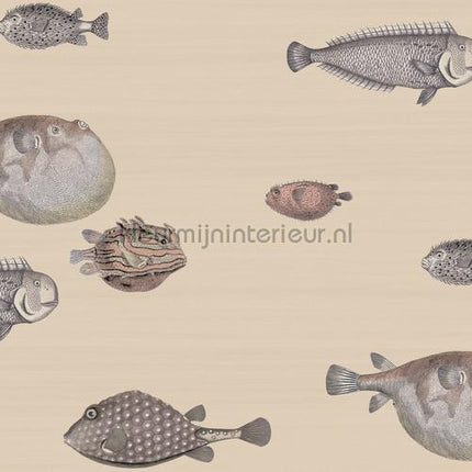 Cole and Son Fornasetti 114-16033 | Bestellen bij https://www.kleurmijninterieur.nl/