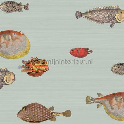 Cole and Son Fornasetti 97-10030 | Bestellen bij https://www.kleurmijninterieur.nl/
