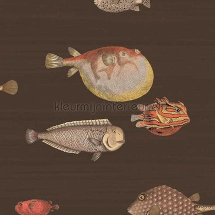 Cole and Son Fornasetti 97-10048 | Bestellen bij https://www.kleurmijninterieur.nl/