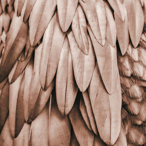 Livingwalls ARTist DD119841 official high-resolution product image
