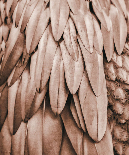 Livingwalls ARTist DD119841 official high-resolution product image