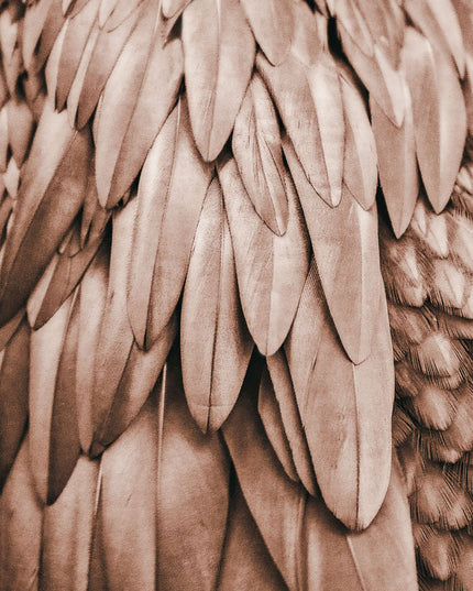 Livingwalls ARTist DD119841 official high-resolution product image