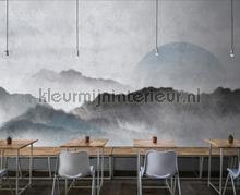 AS Creation Walls by Patel 3 DD122908 | Bestellen bij https://www.kleurmijninterieur.nl/