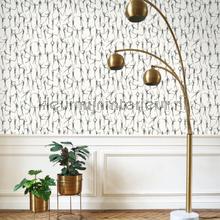 Casadeco Iconic CONI88420505 | Bestellen bij https://www.kleurmijninterieur.nl/