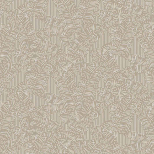 AMA401 Masureel Amani Solana White