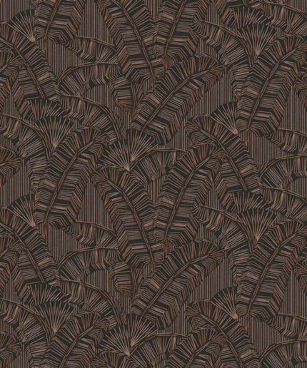 AMA403 Masureel Amani Solana Chocolate