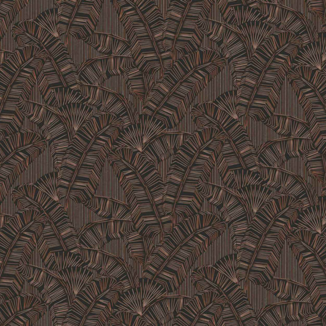 AMA403 Masureel Amani Solana Chocolate