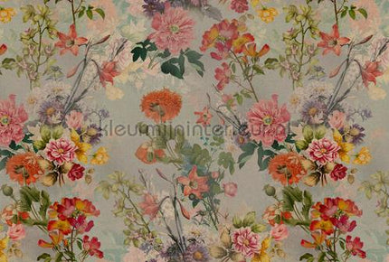 AS Creation Walls by Patel 3 DD122408 | Bestellen bij https://www.kleurmijninterieur.nl/