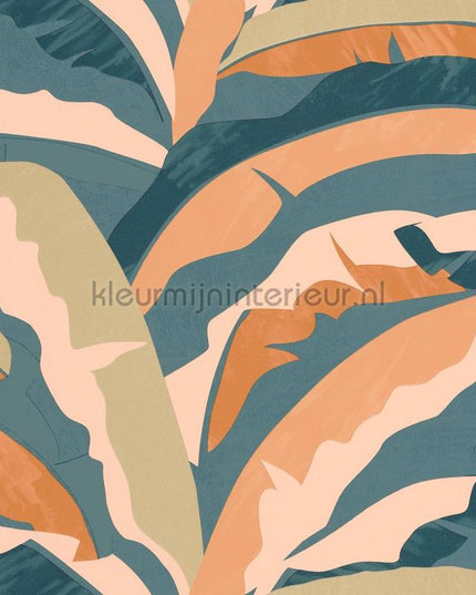 Caselio XXL XXL104566060 | Bestellen bij https://www.kleurmijninterieur.nl/