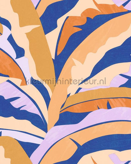 Caselio XXL XXL104566139 | Bestellen bij https://www.kleurmijninterieur.nl/