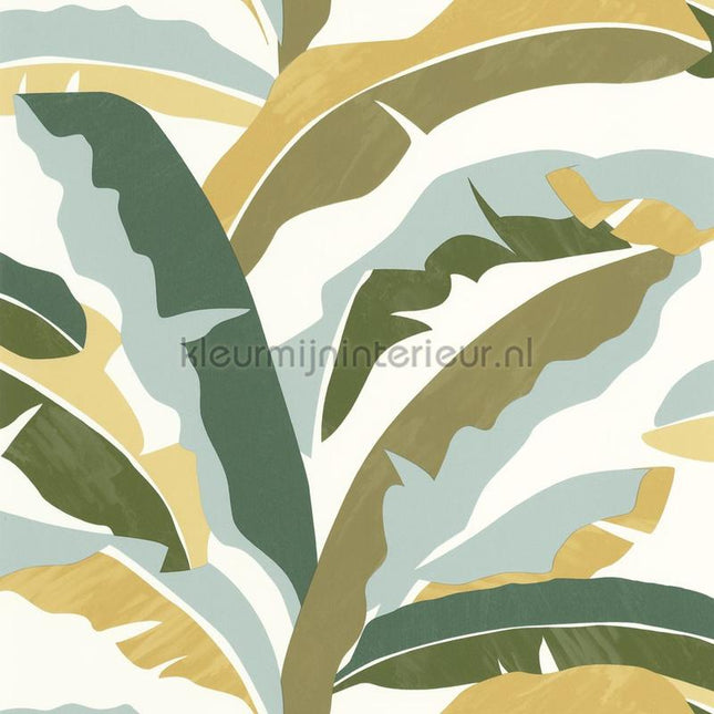 Caselio XXL XXL104567070 | Bestellen bij https://www.kleurmijninterieur.nl/