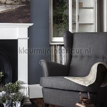 Anaglypta Anaglypta RD385 | Bestellen bij https://www.kleurmijninterieur.nl/