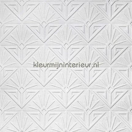 Anaglypta Anaglypta RD576 | Bestellen bij https://www.kleurmijninterieur.nl/