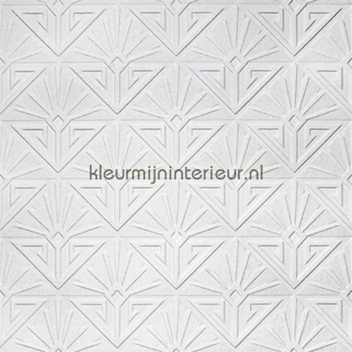 Anaglypta Anaglypta RD576 | Bestellen bij https://www.kleurmijninterieur.nl/