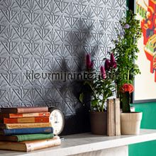 Anaglypta Anaglypta RD576 | Bestellen bij https://www.kleurmijninterieur.nl/