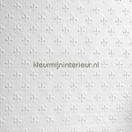 Anaglypta Anaglypta RD392 | Bestellen bij https://www.kleurmijninterieur.nl/