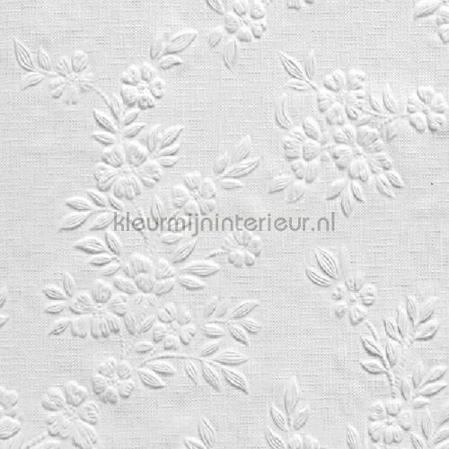 Anaglypta Anaglypta RD341 | Bestellen bij https://www.kleurmijninterieur.nl/